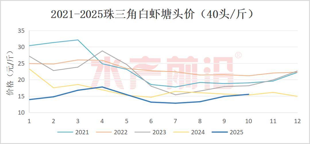 今年珠三角白虾行情困境：消费弱、标准严、病害多冬棚还能是破局