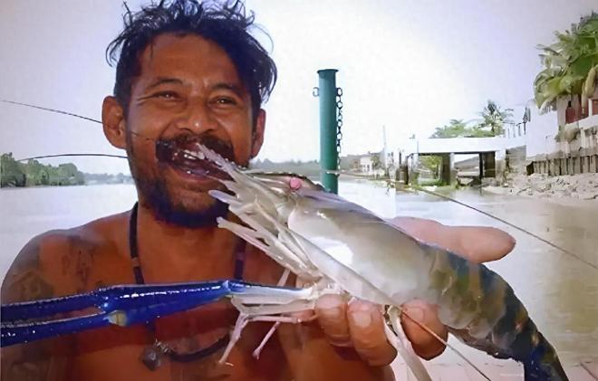 越南罗氏虾泛滥成灾当地人快被逼疯网友：让中国吃货解决